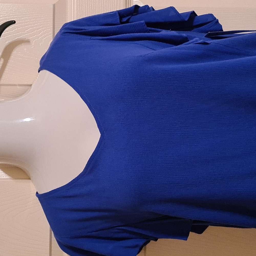 NWT Calessa Ruffle Sleeve Top - L